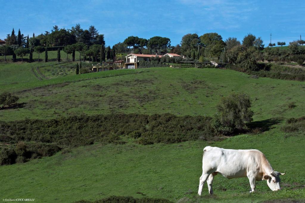 Agriturismo Valle Siriaca Castelnuovo Di Porto Εξωτερικό φωτογραφία